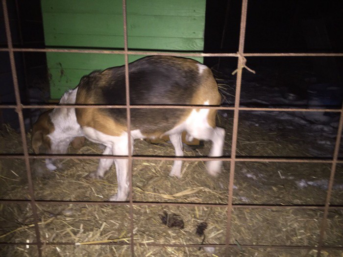 QKHCp8sp74w.jpg (154.41 КБ) Просмотров: 5114 QKHCp8sp74w.jpg