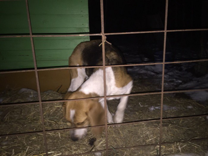 XiSelUMmjcg.jpg (120.76 КБ) Просмотров: 5114 XiSelUMmjcg.jpg