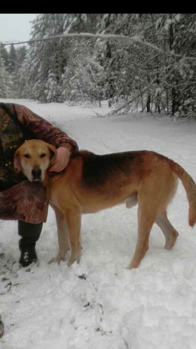 Screenshot_2017-12-08-18-31-29.png (603.31 КБ) Просмотров: 3033 Screenshot_2017-12-08-18-31-29.png