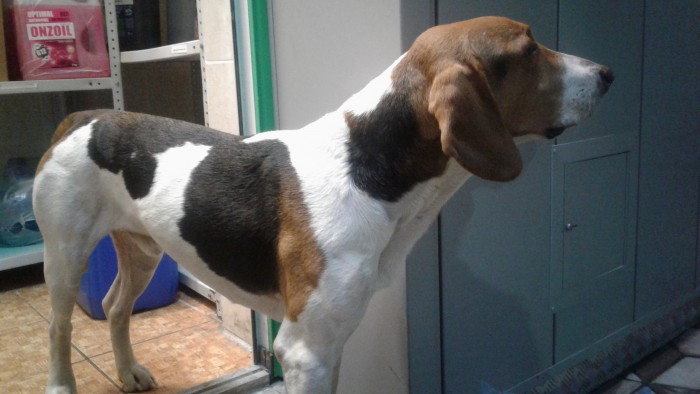 20171218_084901.jpg (1.2 МБ) Просмотров: 3637 20171218_084901.jpg