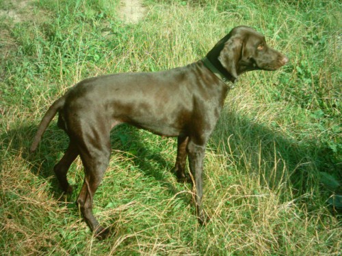 IMAG0016.JPG
