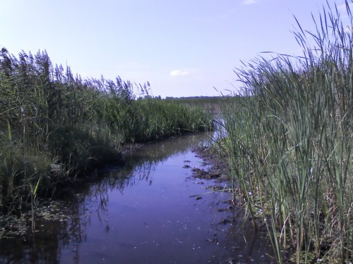 IMG01080.jpg (211.85 КБ) Просмотров: 6584 IMG01080.jpg