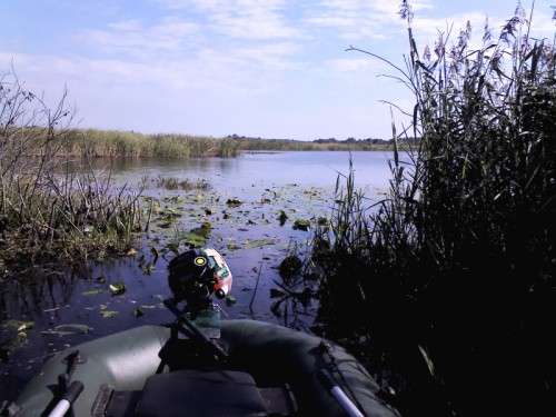 IMG01081.jpg (193.24 КБ) Просмотров: 6397 IMG01081.jpg