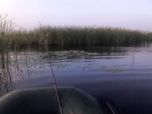 IMG01039.jpg (472.91 КБ) Просмотров: 6715 IMG01039.jpg