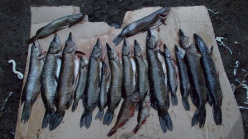 DSCN0866.jpg (207.67 КБ) Просмотров: 6715 DSCN0866.jpg