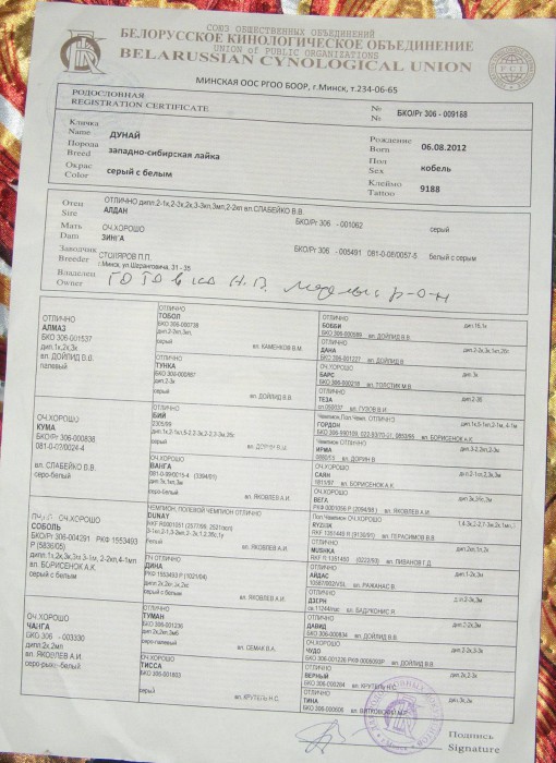 Дунай-1.jpg (437.78 КБ) Просмотров: 10192 Дунай-1.jpg