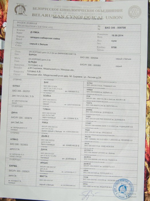 Умка-1.jpg (436.67 КБ) Просмотров: 10192 Умка-1.jpg