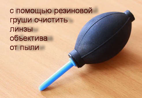 груша.jpg