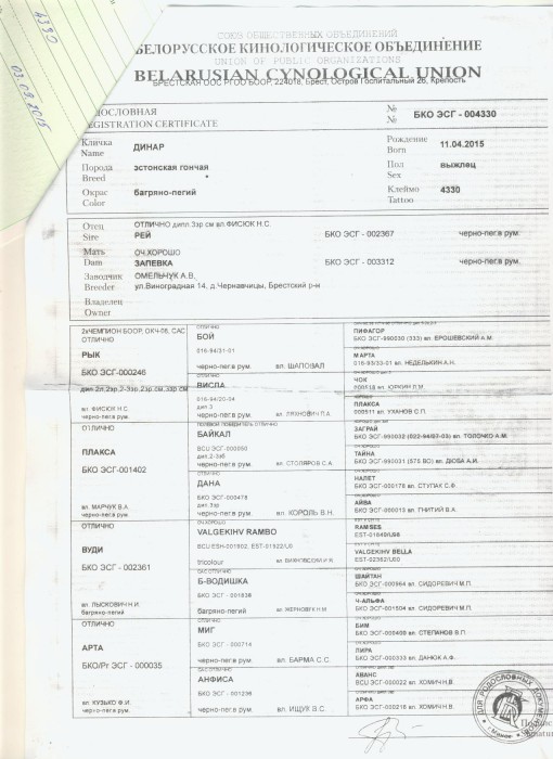 004330_1.jpg (261.31 КБ) Просмотров: 16361 004330_1.jpg