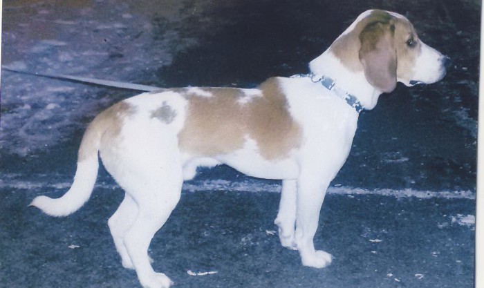 004330_ф.JPG (208.49 КБ) Просмотров: 16855 004330_ф.JPG