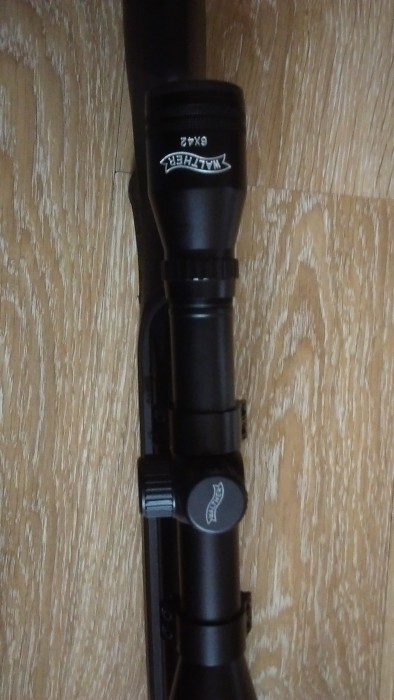 IMAG0557.jpg