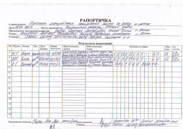Рапортичка в школе образец