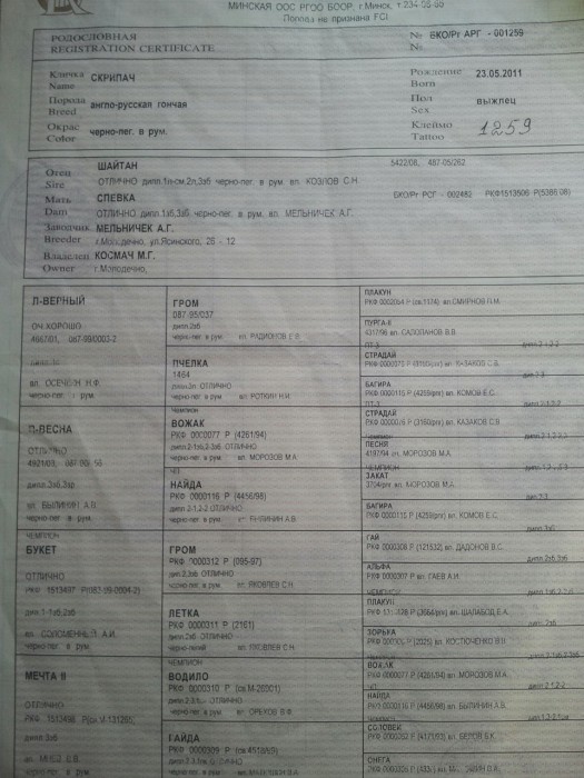 image-0-02-04-d6b4ce68a267ddf255b3466f44b9bd7a218542f94c5d980c7cb848971f314209-V.jpg (333.82 КБ) Просмотров: 16223 image-0-02-04-d6b4ce68a267ddf255b3466f44b9bd7a218542f94c5d980c7cb848971f314209-V.jpg