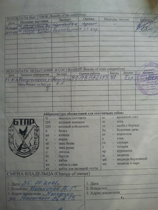 image-0-02-05-e670c594b4d547ae7ab50b8387dddaa221611f0d8b820967d0284f83cbcf3b2f-V.jpg (323.34 КБ) Просмотров: 16223 image-0-02-05-e670c594b4d547ae7ab50b8387dddaa221611f0d8b820967d0284f83cbcf3b2f-V.jpg