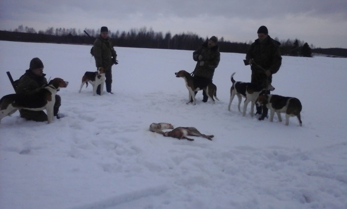 стайка.jpg (478.8 КБ) Просмотров: 16122 стайка.jpg