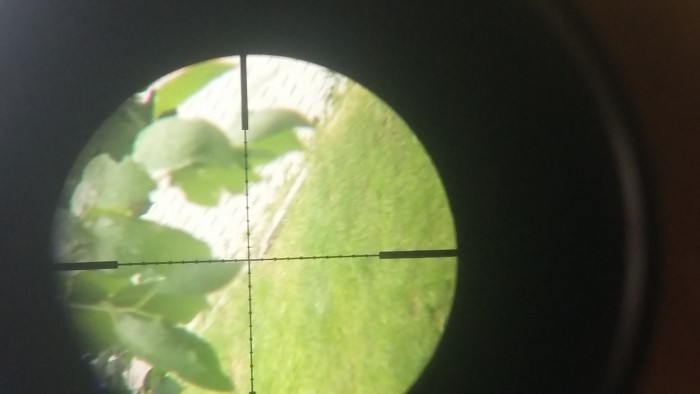 20180623_125356.jpg