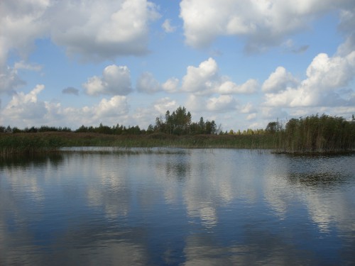 SDC13540 Сергеевичи. Красота..JPG