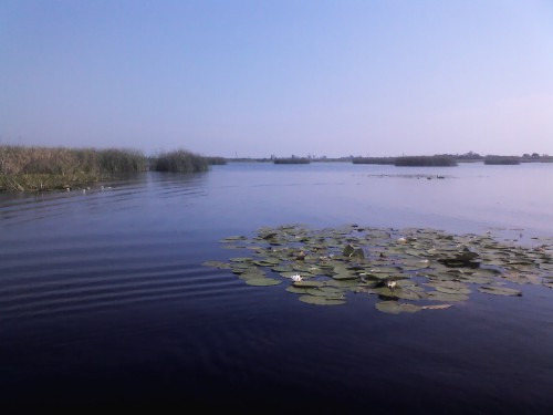 IMG01072.jpg