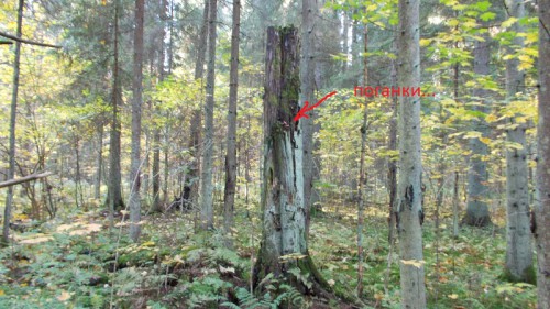 DSCN1045.JPG