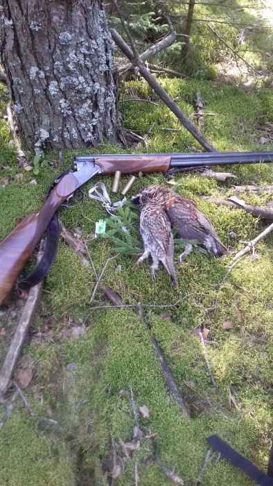 Ряб1.jpg (1.41 МБ) Просмотров: 13964 Ряб1.jpg