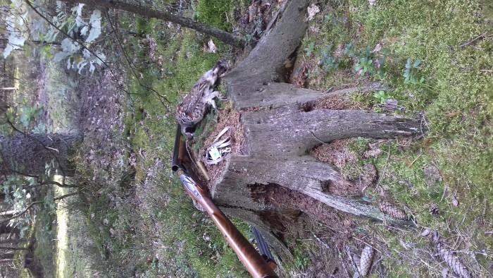 Ряб 2.jpg (3.99 МБ) Просмотров: 13944 Ряб 2.jpg