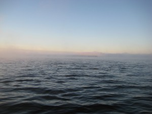 IMG_8385.JPG