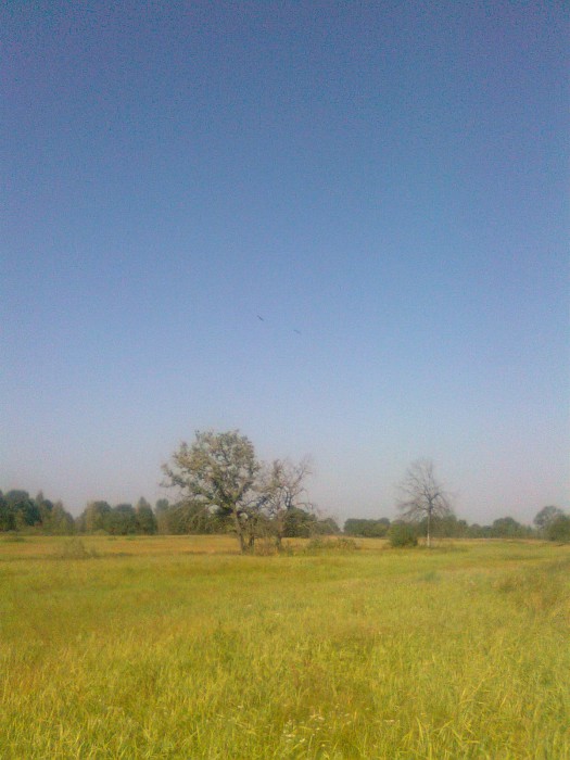 Фото0878.jpg (500.71 КБ) Просмотров: 16559 Фото0878.jpg