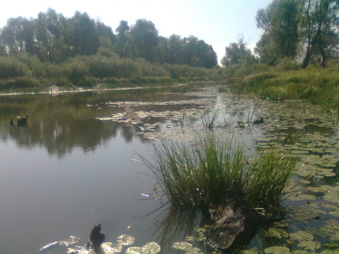 Фото0879.jpg (496.02 КБ) Просмотров: 16577 Фото0879.jpg