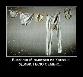 IMG-78c02b825bbeabb6fe9e2463cdb49811-V.jpg